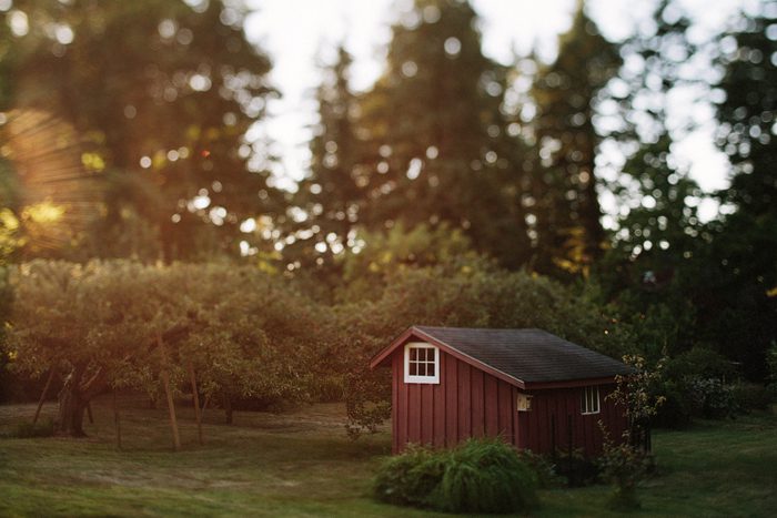 Jonas_Seaman_Photography_LeahBrianWed_1012