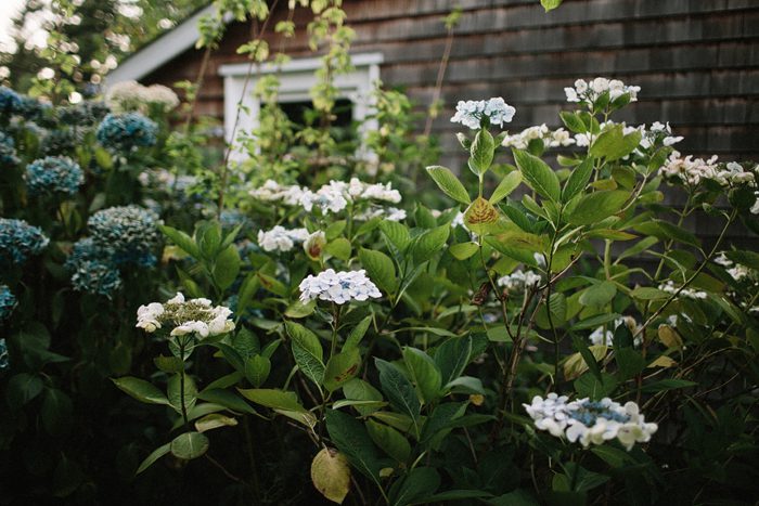 Jonas_Seaman_Photography_LeahBrianWed_1020