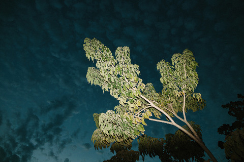 YourHeartTheSizeOfAFist_Jonas_Seaman_1006