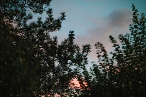 the_moon_loves_the_sky_jonas_seaman_1033