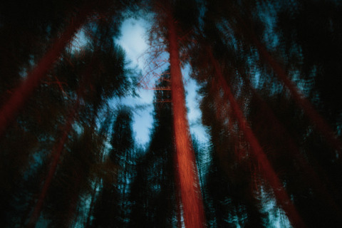 the_moon_loves_the_sky_jonas_seaman_1046