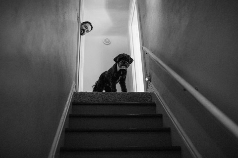 the_moon_loves_the_sky_jonas_seaman_1064